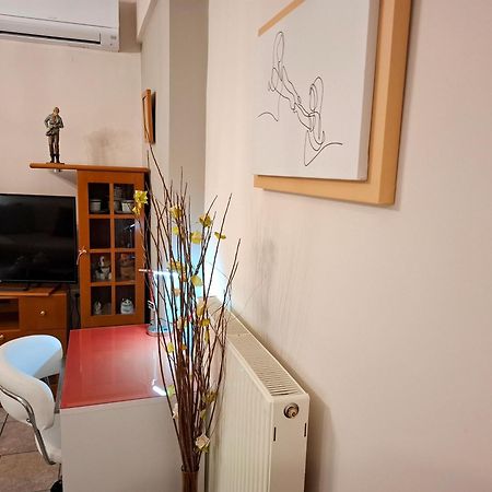 Απέριττον 2 Apartman Tríkala Kültér fotó
